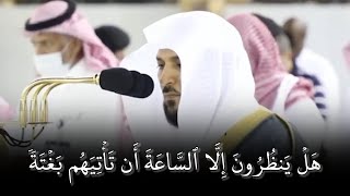 ماهر المعيقلي تلاوة خاشه | ماتيسر من سورة الزخرف | حالات واتس قرأن كريم