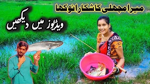 New video machhali blog 🫣🦈🤳🏞️Generated using YouTools https://play.google.com/store/apps/details?id