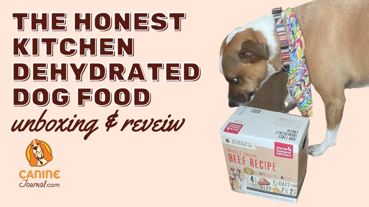 The Honest Kitchen Dog Food Reviews