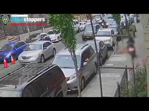 Driver Chases Down, Shoots Bronx Teen Riding Moped