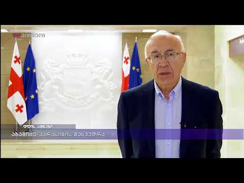 აბაშიძე-კარასინის შეხვედრა