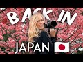 First day back in japan  tokyo camera shopping  sakura spotting