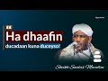 Hadii Aad Walwal Murugo Cabsi Daremeyso Ducadaan Haka Tagin Shiikh Saalax Duco Shiikhsaalax