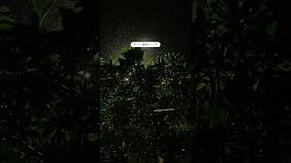 Rainy Day বষটর দন