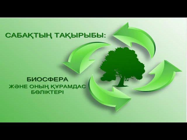 Пусси және оның құрамдас бөліктері