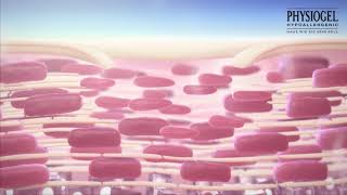 Physiogel Spot
