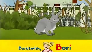 15. és 16. rész - barátom Bori 🐱🎈⚽