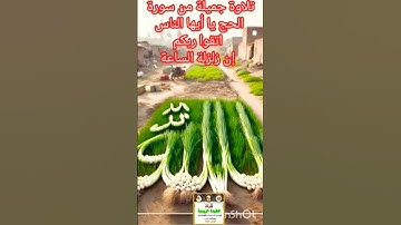 تلاوة جميلة من سورة الحج يا أيها الناس اتقوا ربكم إن زلزلة الساعة#العرب