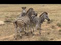 Afrique du Sud Moto trip Part 3 Agnes et JM Addo Elephant to Outdshoorn 1733395593919