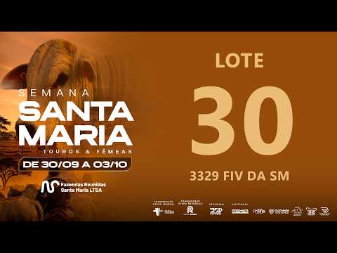 LOTE 30 FSM A3329