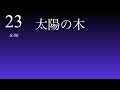 23 太陽の木
