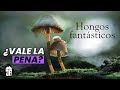 Reseña HONGOS FANTASTICOS (Fantastic Fungi) | ¿Vale La Pena?