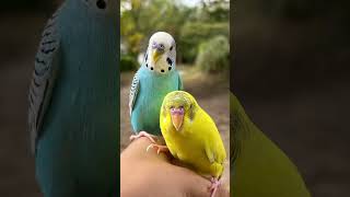 Coco And Sol Outside