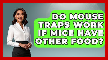 Do Mouse Traps Work If Mice Have Other Food? - Insects and Invaders