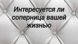 картинка: Соперница.... Интересуется ли она вашей жизнью 