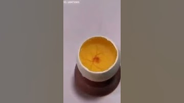 Omg! look the process of How to grow artificial egg fertilization in laboratory 😱|egg fertilization|