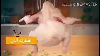 رقص فرخه علي مهرجان أخواتي بترقص احسن من صافيناز هتضحك يعني هتضحك