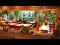 夢の島熱帯植物館・食堂 の動画、YouTube動画。