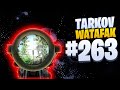 Tarkov Watafak #263 | Escape from Tarkov