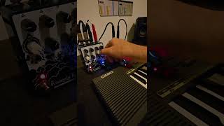 Casio MT-55 Nostalgia meets Spacial Delay and Reverb #ambient #nostalgia #80s #space #time #producer