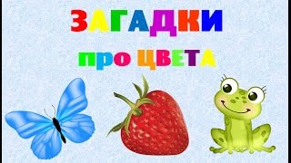 Загадки про цвета. Загадки для малышей. Цвета для детей. Загадки