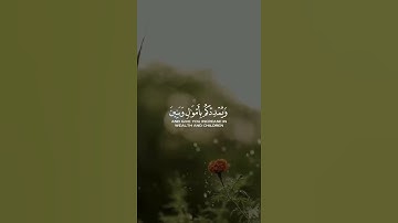 فقلت استغفروا ربكم إنه كان غفارا * يرسل السماء عليكم مدرارا - سورة نوح - ماهر المعيقلي