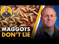 A Biology Professor Explains How Maggots Help Solve Murders