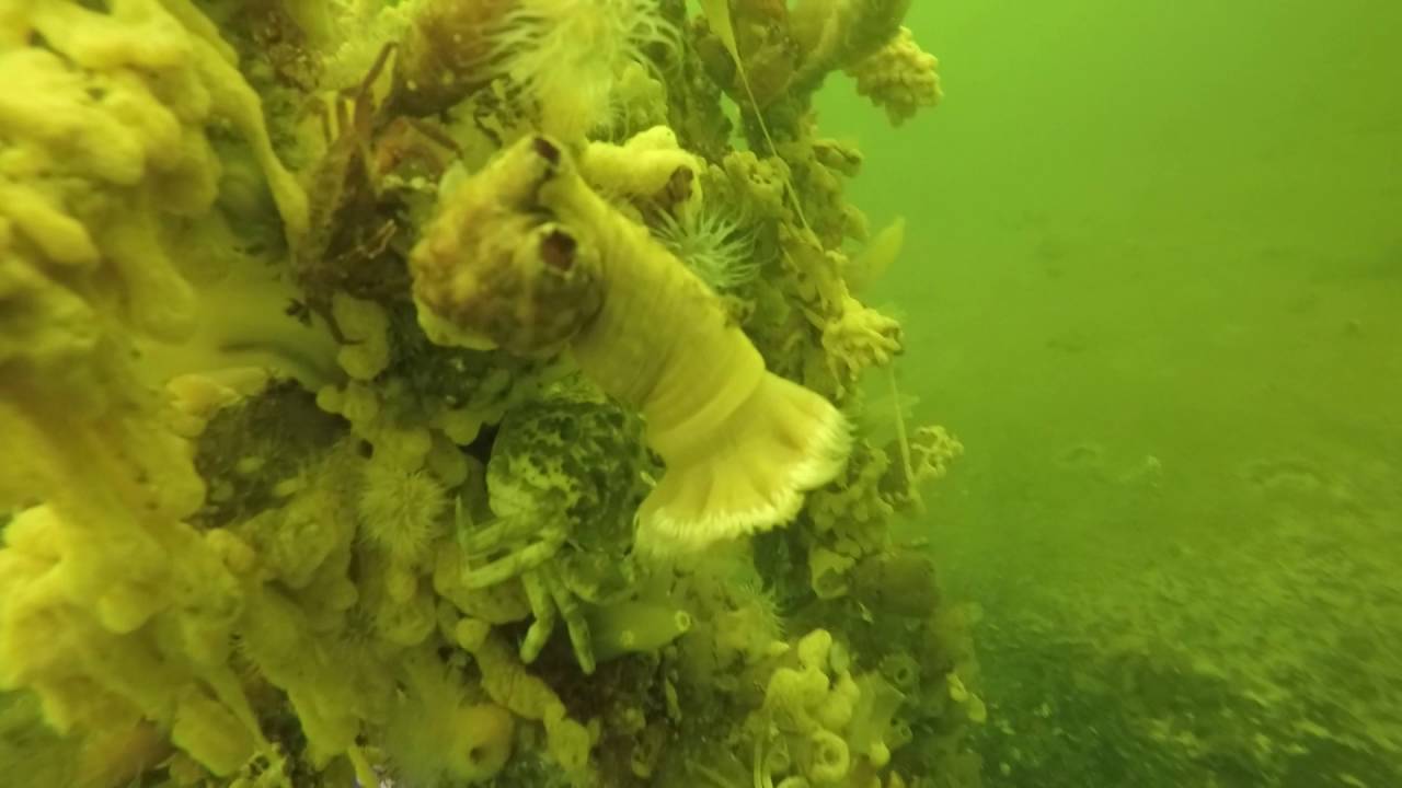 Bergse Diepsluis - Oesterdam