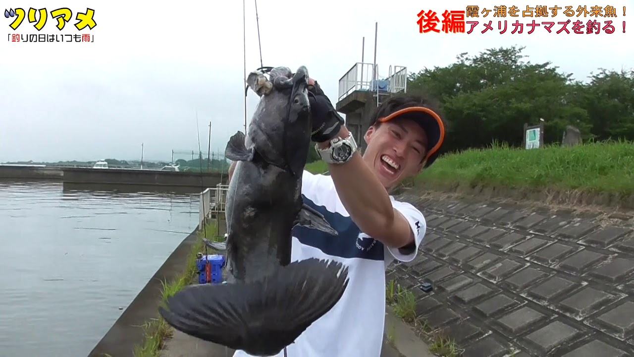 霞ヶ浦でアメリカナマズ チャネルキャットフィッシュ を釣る 2 ツリアメ アメナマ部 Youtube