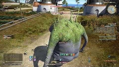 Final Fantasy 14 Let