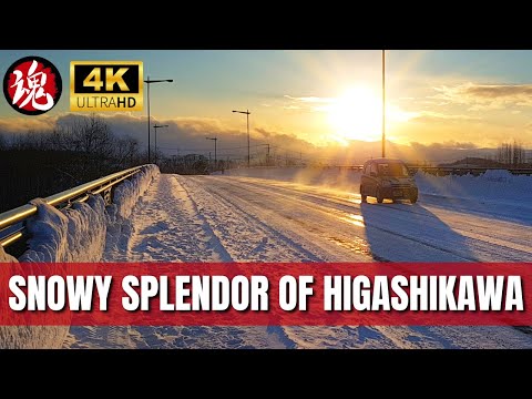Winter Afternoon Walk In Freezing Japan | Higashikawa Hokkaido