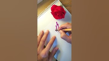 MUHAMMAD Munsab name