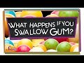 What happens if you swallow gum