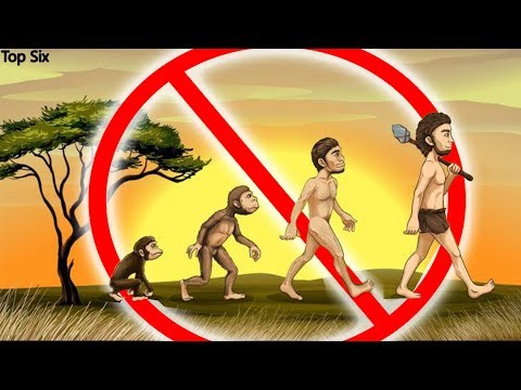 Video: ¿Los humanos evolucionaron de los monos?
