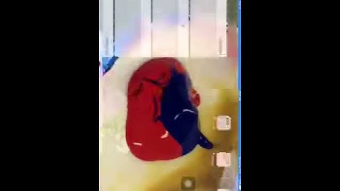 Ios 11 has screen recording!