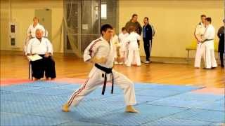 2013. А.Г.Огнивцев НСНБР: ФККР. Чемпионат Москвы по Косики каратэ 2013