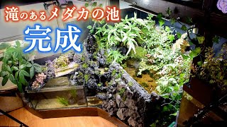 完成！滝のあるメダカの池！#5  【水槽を立体的に並べて】