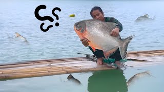 Duck care, trapping ferocious carnivorous fish – Searching for wild food, surviving on the river