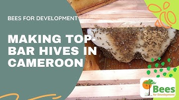Making Top-bar Hives in Cameroon (1)