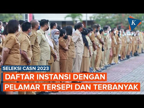 CPNS dan PPPK 2023, Daftar Instansi dengan Pelamar Tersepi dan Terbanyak