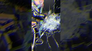 SHUT UP AND EXPLODE #vtuber #xamd #music #vrchat #boomboomsatellites