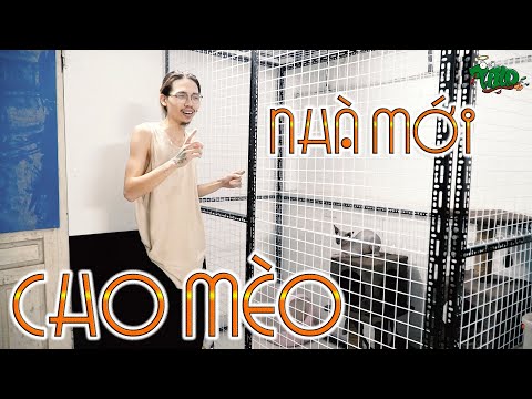 Video Làm nhà mới cho MÈO | WILDVN TV - youtube