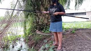 MANCING AMBYAR ~  FISHING MANIA ~  MANCING MANIA - Ikan Orange nya Malu Untuk Muncul.