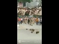 Papla Gurjar arrest video || Rajesthan,Haryana || #BobyAdhana7077