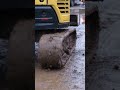 Digger dancing! 🕺#constructionuk #constructionvideo #dancing #diy #fyp #fypage #singingintherain