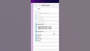 How to show hidden files on a Mac