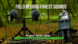 Field Record Forest Sounds | ZOOM H5  LOM USI PRO mic | Audio Spectrum | #ASMR