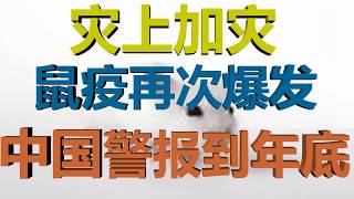 冷山时评：灾上加灾 ，鼠疫再次爆发，中国警报到年底！联合国高度戒备！（20200708第237期）