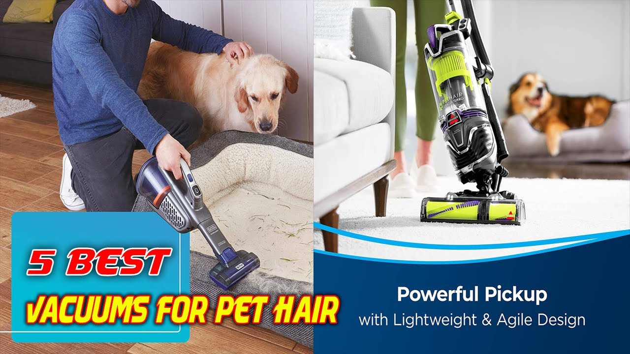 Best Vacuums for Pet Hair Top 5 Vacuums for Pet Hair in 2023