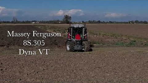 Massey Ferguson 8S.305 in aratura